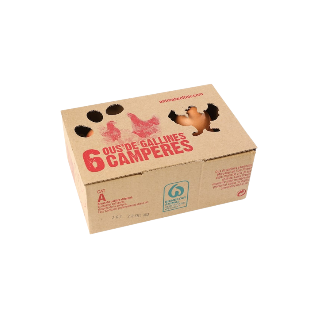 Huevos Camperos 6u image 0