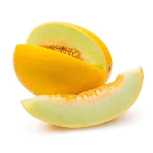 Melón Erizo 1u 2kg aprox image 0