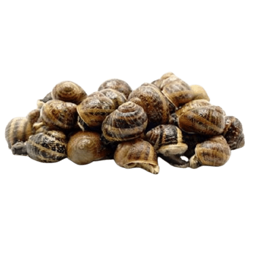 Caracoles Escaldados 250g aprox image 0