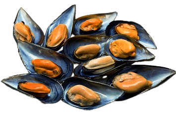Mejillones Cocidos 200g image 0