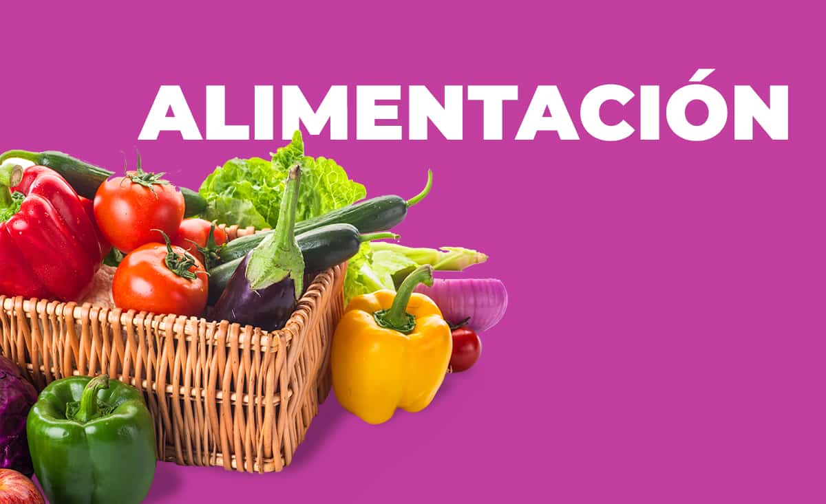 Alimentación