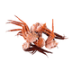 Cuerpos 250g aprox image 0