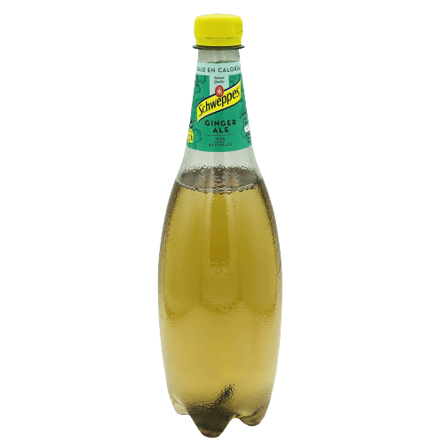 Schweppes Ginger Ale 1L image 0