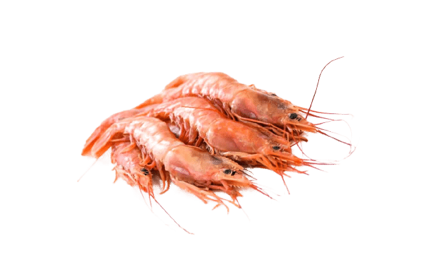 Gamba Langostinera con Piel 400g aprox image 0
