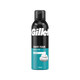 Gillette Espuma de Afeitar Piel Sensible image 0