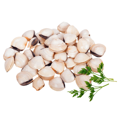 Almejas 500g aprox image 0