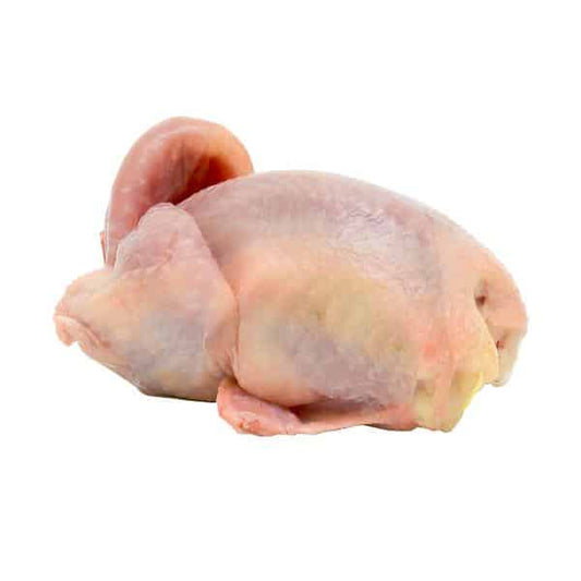 Codornices 1u image 0