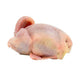 Codornices 1u image 0