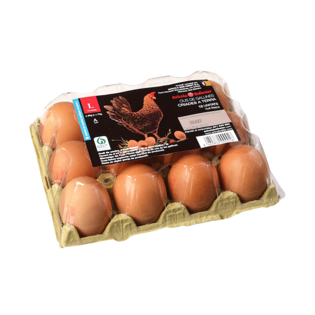 Huevos Avícola Ballester L 12u image 0