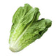 Lechuga Romana image 0