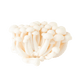 Shimeji image 0
