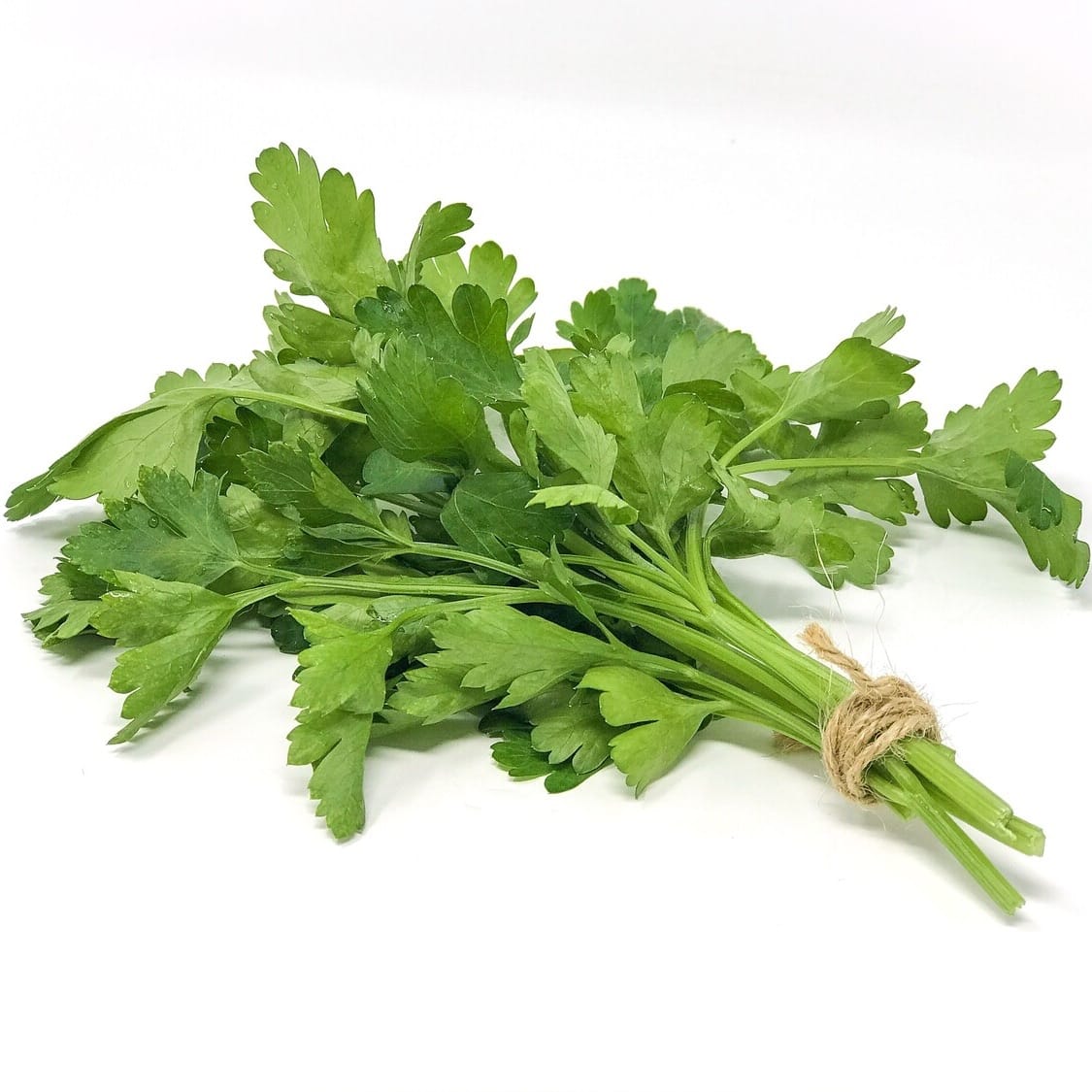 Cilantro image 0