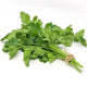 Cilantro image 0