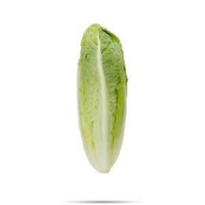 Corazón de Lechuga 2u