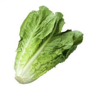 Lechuga Romana