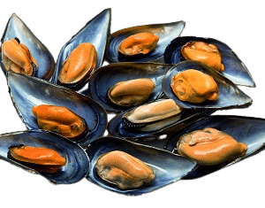 Mejillones Cocidos 200g